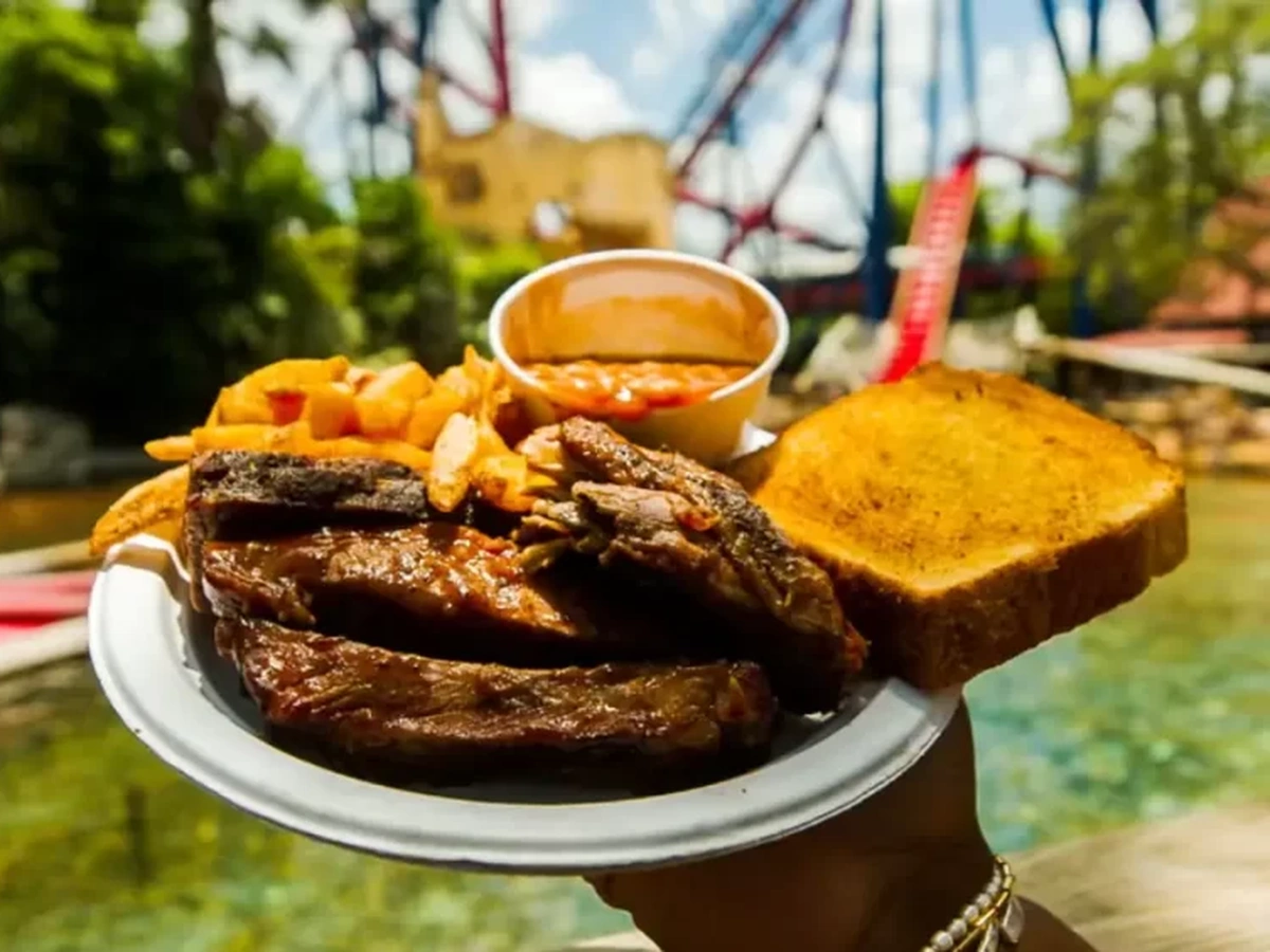 Ingressos Busch Gardens Tampa com Plano de Alimentação — imagem 2