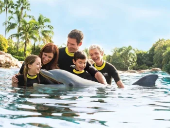 Discovery Cove Orlando