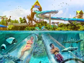 Ingressos Aquatica Orlando